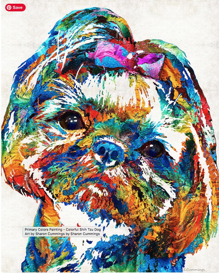 Colorful Shih Tzu HERE: fineartamerica.com/featured/color… #dog #dogs #pups #pup #puppylove #puppies #woof #dogmom #dogdad #doggies #canine #shihtzu #colorful #art #buyINTOART #FillThatEmptyWall