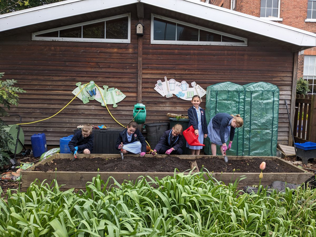 This lunchtime our Junior eco committee were busy planting potatoes in our school vegetable garden! 🥔🌱 Last term they ‘chit’ the potato seeds and left them in egg boxes, ready for planting today - we are so excited to hopefully taste our school-grown potatoes in June/July! 😋