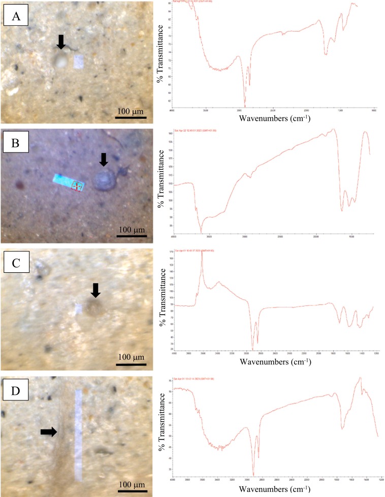 Microplastics present in archaeological sediment. MPs may impact scientific value and preservation of deposits The contamination of in situ archaeological remains: \ A pilot analysis of microplastics in sediment samples using μFTIR sciencedirect.com/science/articl…