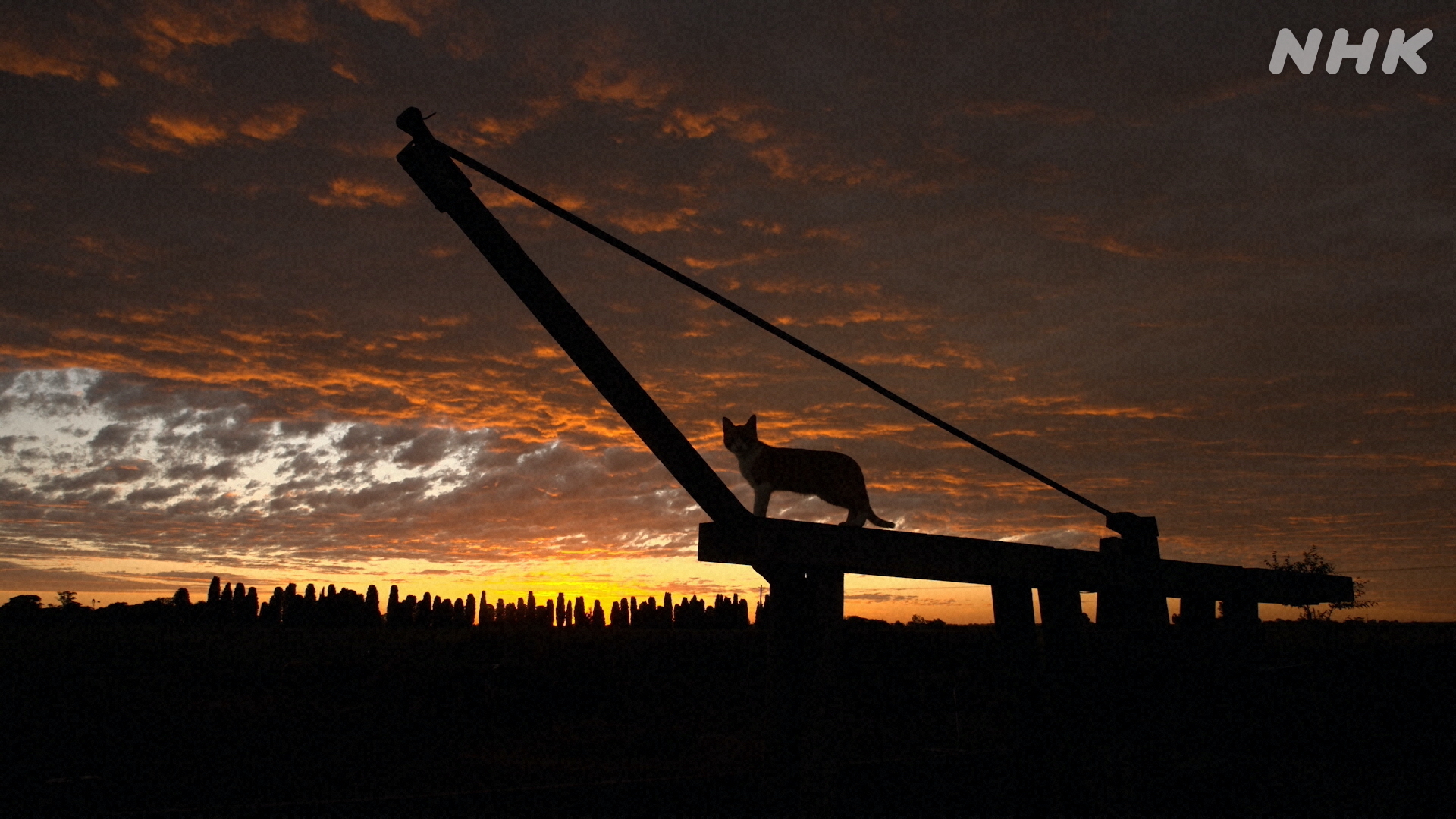 世界に1つ◼️超カッコイイまん丸な溶岩石の金彩ロックアート