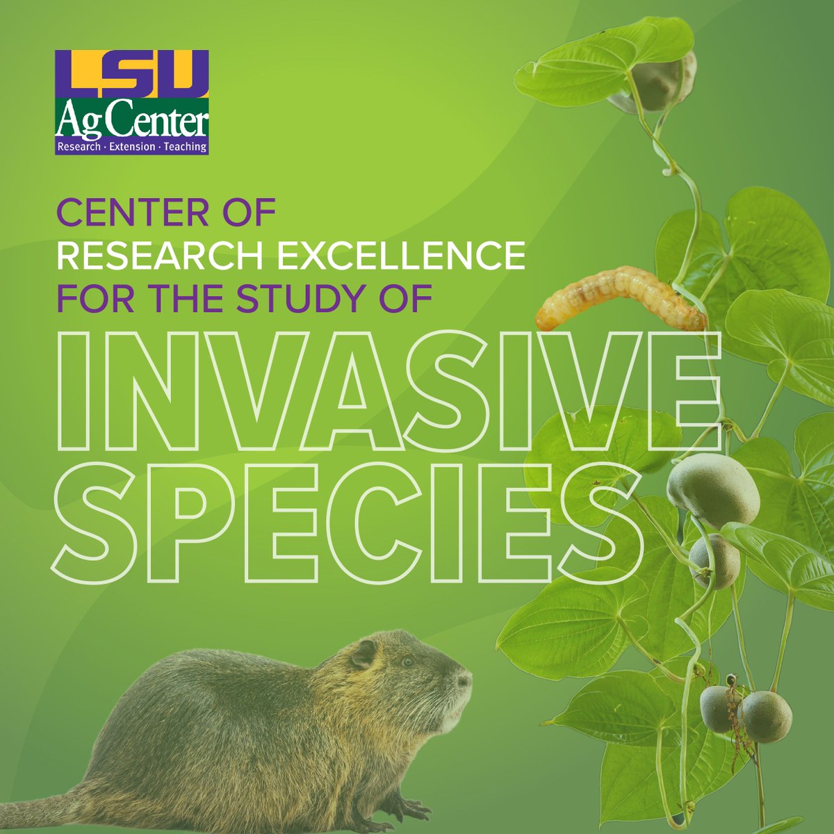 LaHouse Research and Education Center tweet media