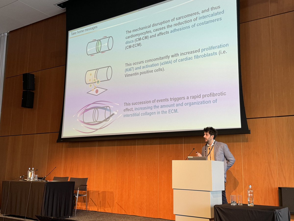 Alessandra Lodrini (@alelodrini) on Twitter photo Innovative work by <a href="/lopez_unzu/">Miguel López-Unzu</a> on mechanical homeostasis and remodeling in the myocardium.
❗️Loss of Titin’s mechanical functions leads to deregulation of cardiomyocyte adhesions and triggers fast, non-canonical fibrosis.
#FCVB2024 #ESCBasicScience <a href="/escardio/">European Society of Cardiology</a> Innovative work by <a href="/lopez_unzu/">Miguel López-Unzu</a> on mechanical homeostasis and remodeling in the myocardium.
❗️Loss of Titin’s mechanical functions leads to deregulation of cardiomyocyte adhesions and triggers fast, non-canonical fibrosis.
#FCVB2024 #ESCBasicScience <a href="/escardio/">European Society of Cardiology</a>