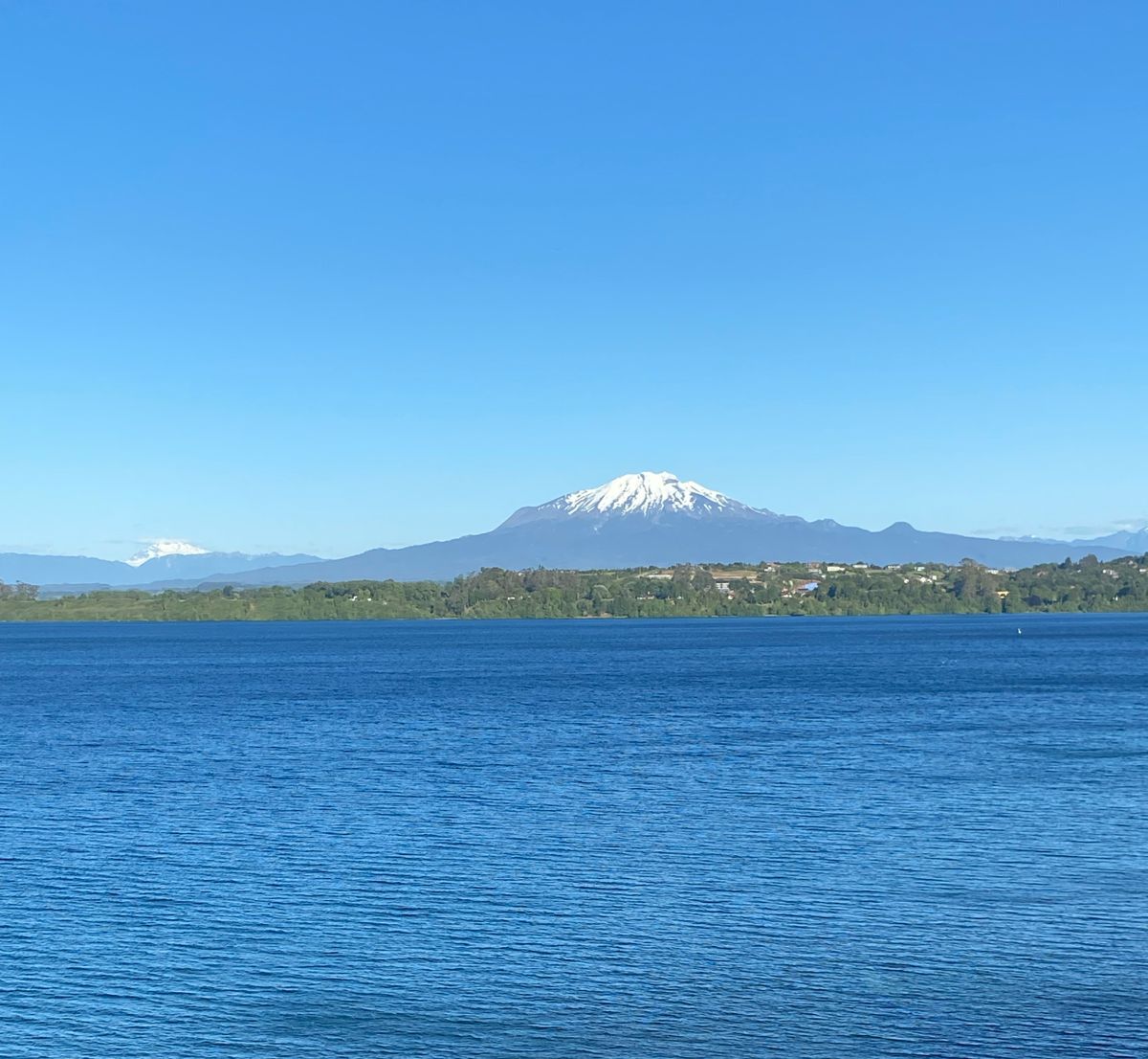 SILAN (@silan_neurorad) on Twitter photo Congreso SILAN 2024, se llevará a cabo entre el 23 y 26 de octubre.
El XXXIV congreso de la sociedad será en la hermosa ciudad de Puerto Varas, considerada el punto de partida de la Patagonia Chilena.
¡Los esperamos!
👉silan2024.cl
#SILAN #Congress #neuroradiology Congreso SILAN 2024, se llevará a cabo entre el 23 y 26 de octubre.
El XXXIV congreso de la sociedad será en la hermosa ciudad de Puerto Varas, considerada el punto de partida de la Patagonia Chilena.
¡Los esperamos!
👉silan2024.cl
#SILAN #Congress #neuroradiology