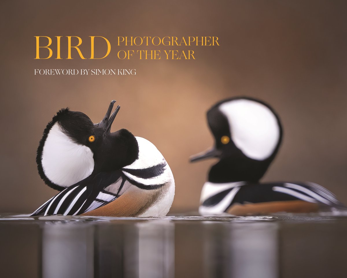 .@PrincetonUPress is set to be the global publisher of Bird Photographer of the Year, released in September bookbrunch.co.uk/page/article-d… (£)