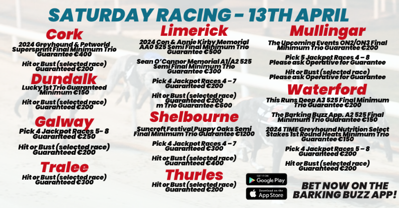 🏟️𝐒𝐀𝐓𝐔𝐑𝐃𝐀𝐘 𝐓𝐎𝐓𝐄 𝐆𝐔𝐀𝐑𝐀𝐍𝐓𝐄𝐄𝐒🏟️ 🏆Suncroft Festival Puppy Oaks Semi Final @shelbournepark ⚡2024 Con & Annie Kirby Memorial Semi Final @LimkGreyhound 💶 FREE Bet for NEW customers 𝗕𝗘𝗧 𝗡𝗢𝗪 on #BarkingBuzz App Or visit barkingbuzz.grireland.ie