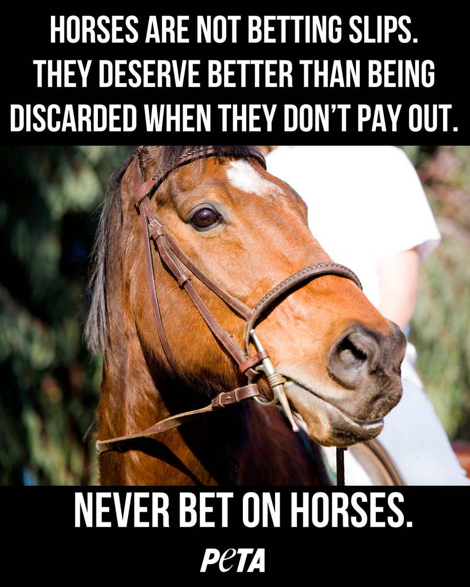 It's time to bet on compassion. Don’t attend, watch or bet on races involving horses. #YouBetTheyDie #GrandNationalDisgrace #GrandNational2024