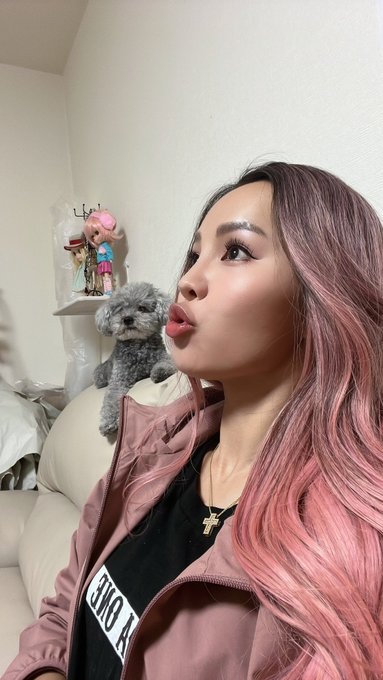ママんちのワン🐶が絶妙な位置にいてくれてるので&hellip; https://t.co/Bb9cz8lSD9