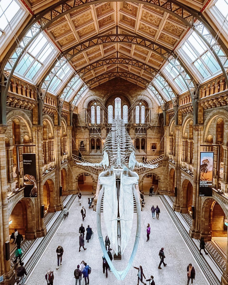 Delve into the history of planet Earth at the Natural History Museum. Discover objects from billions of years ago – including dinosaur skeletons🦖 [📸 @blueskyandsuushine] #LetsDoLondon #VisitLondon