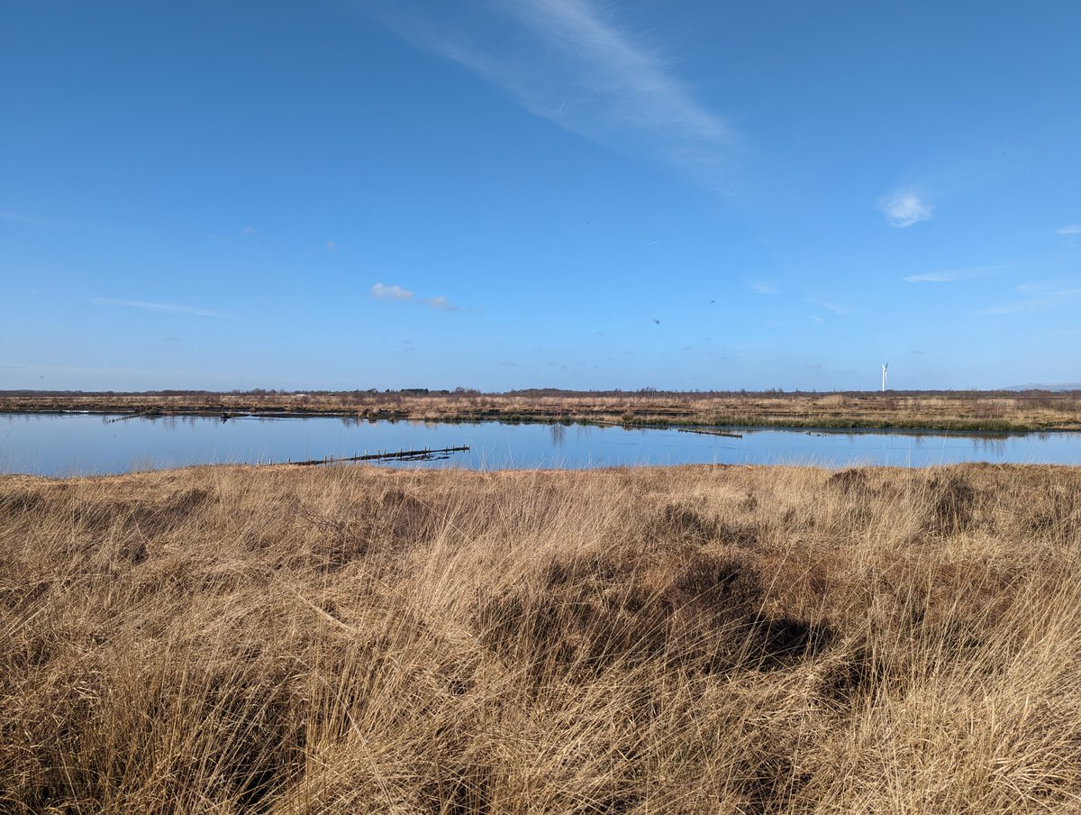 Interested in how we are seeking answers to key questions on lowland peat? Find out more about our new Lowland Peat 3 research project, being led by @UK_CEH lowlandpeat.ceh.ac.uk/lowlandpeat3