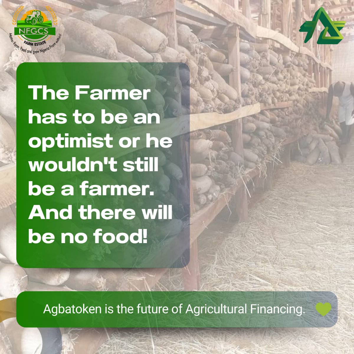 IF YOU HAVE NOT BEEN TESTED as A Farmer, You Will Think Farming is Easy, Profitable and Beautiful.  Farming is Beautiful, But Only Profitable in The Long Run and Definitely Difficult Particularly When Massive Government Support and Interventions are Lacking.  Without Real