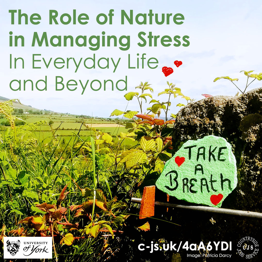 This #StressAwarenessMonth @UniOfYork has gone in-depth with our newest featured article about the role of nature in managing stress in our daily lives. To see just how many studies are now proving this to be true, head here: c-js.uk/4aA6YDI