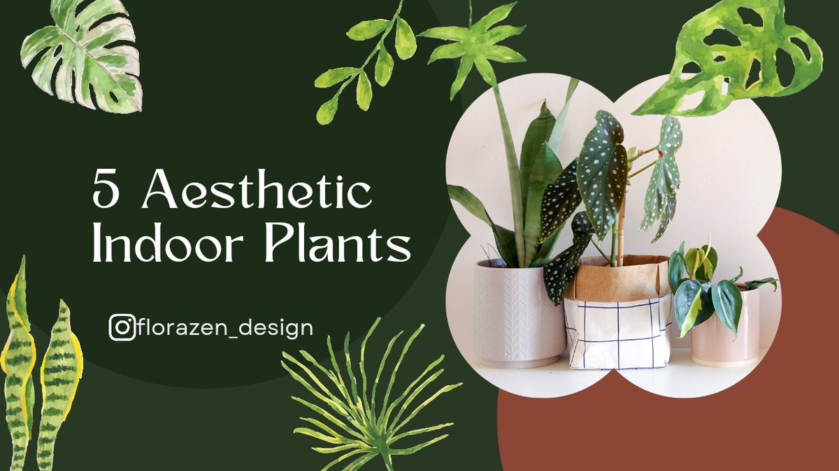 RaliyaAbdulaze1's tweet photo. EID wa JUMA’AH MUBARAK 🍃
#architecturaldesigns #florazendesign #greenliving #artisanearthvase #curtainsdesign https://t.co/IJVthBkSmG