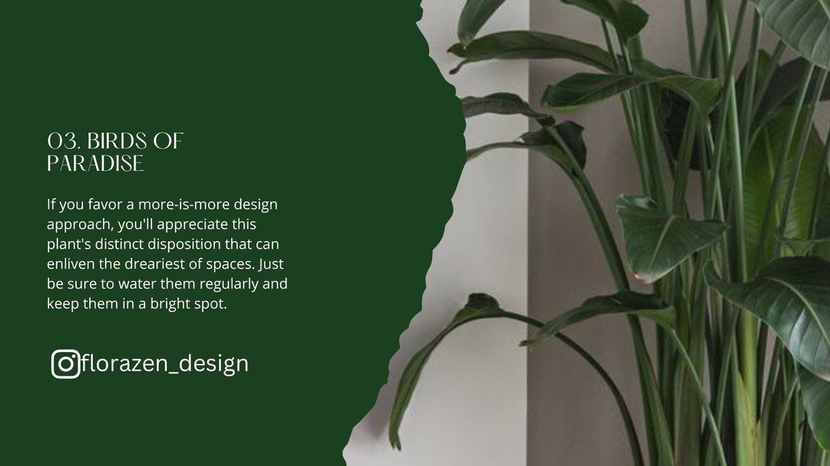 RaliyaAbdulaze1's tweet photo. EID wa JUMA’AH MUBARAK 🍃
#architecturaldesigns #florazendesign #greenliving #artisanearthvase #curtainsdesign https://t.co/IJVthBkSmG