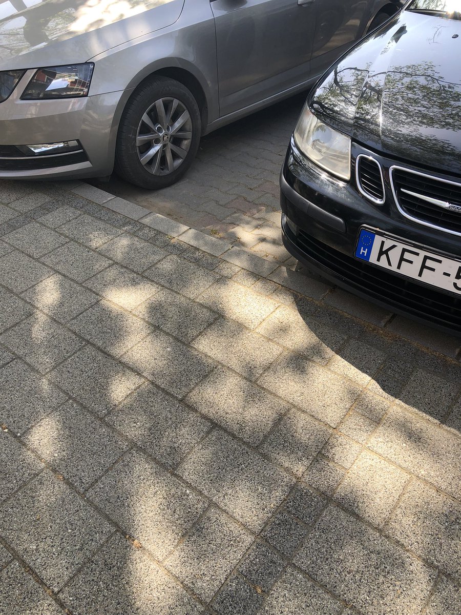 Allsvensk doft utanför hotellet i Debrecen.