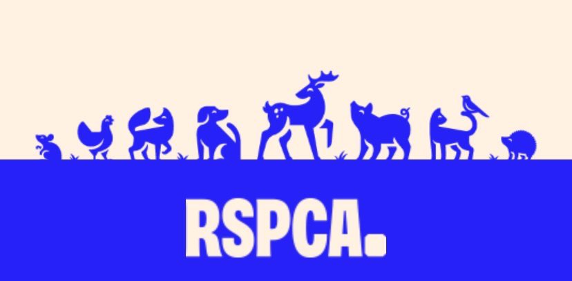 As some of you have pointed out in response to my thread on the RSPCA’s rebranding there is something weird going on here with the cat eyeing up the bird on its tail…domestic cats kill 270 million birds and mammals in the UK every year
