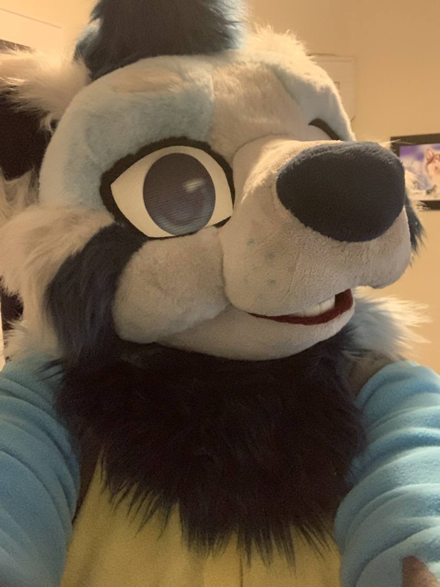 Keeping warm in my lucario kigu! Happy Fursuit Friday! #FursuitFriday #Lemonbrat