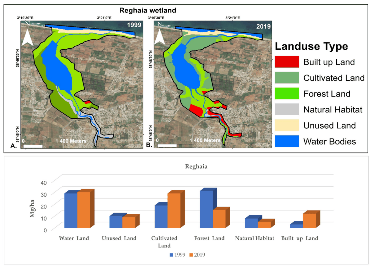 🌍#HighlyCitedParer! 📝 The paper 'Effects of Land Use/Land Cover Changes on #CarbonStorage in North African Coastal #Wetlands' is making waves in environmental science! 🌿 #GEOPACResearchCenter 👉 Read it here: mdpi.com/2077-1312/10/3…🌍 #Research #EnvironmentalScience 📚🔬
