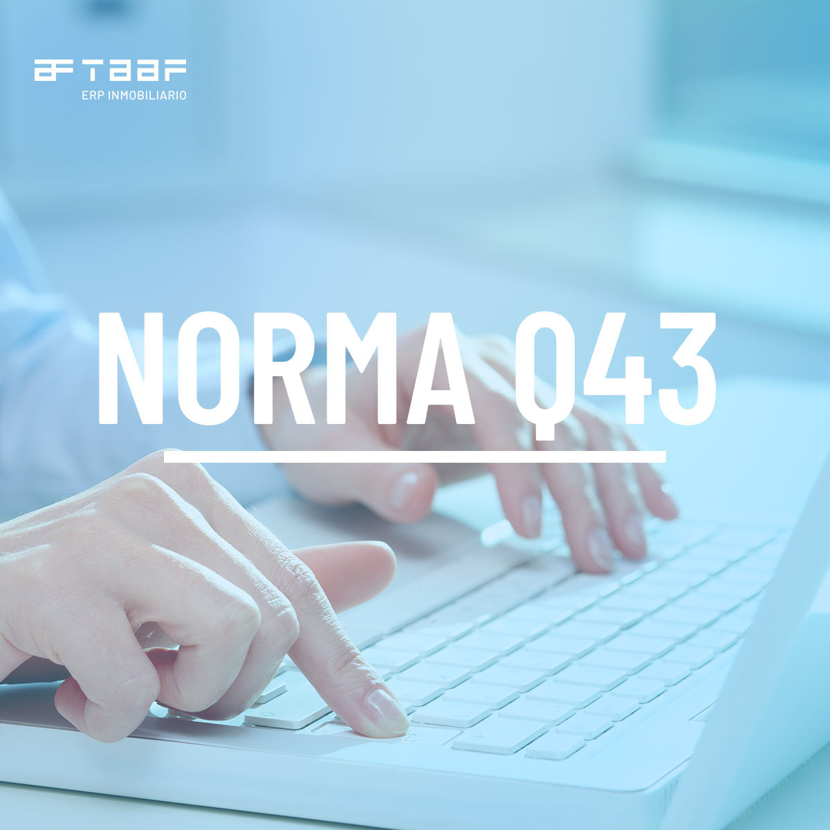 TAAF S.L. tweet media