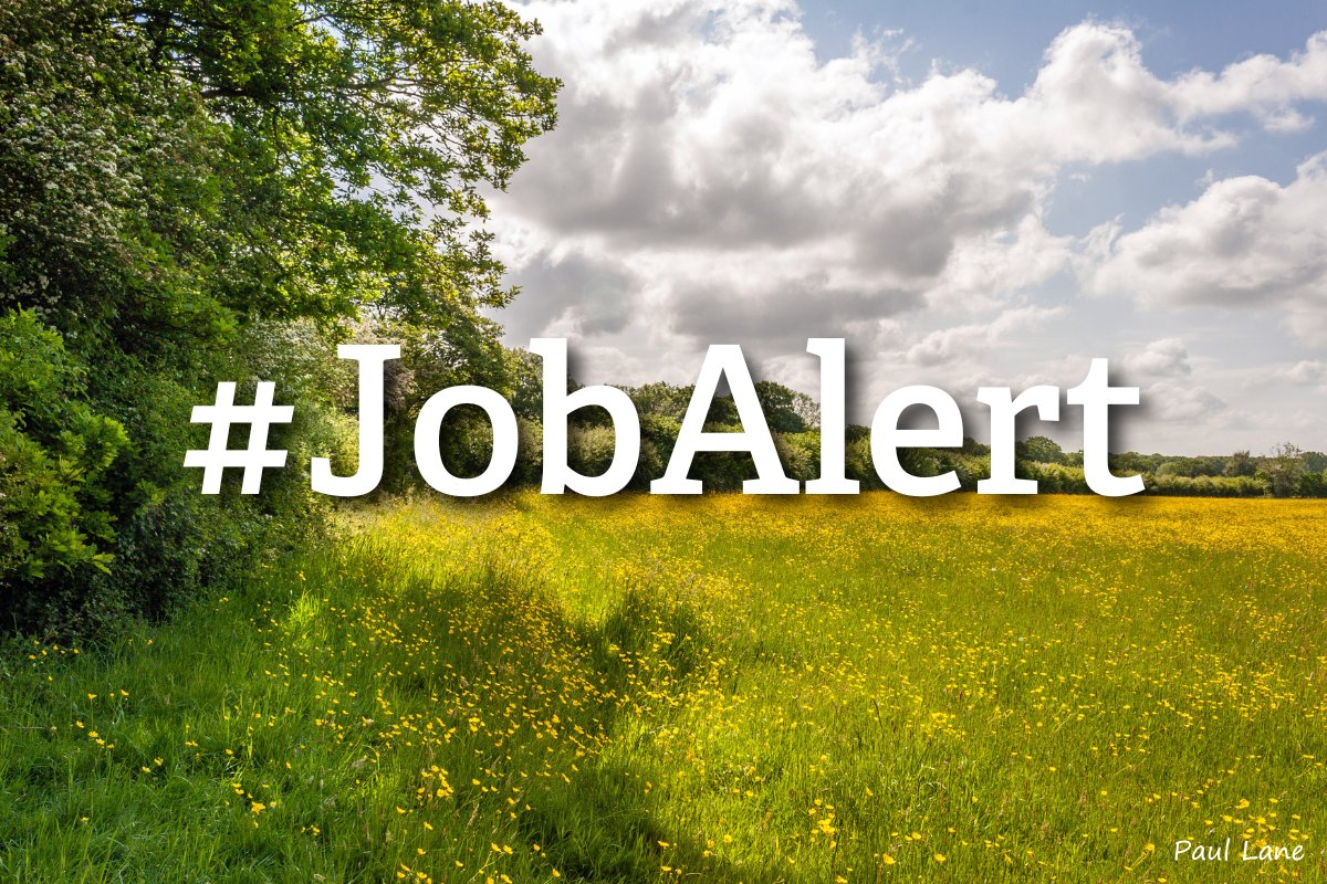 #JobAlert Are you interested in conservation and have experience working with communities? We’re looking for an engagement officer to be involved in our restoration project at #GreenFarm 👇worcswildlifetrust.co.uk/jobs/green-far… @HeritageFundM_E
