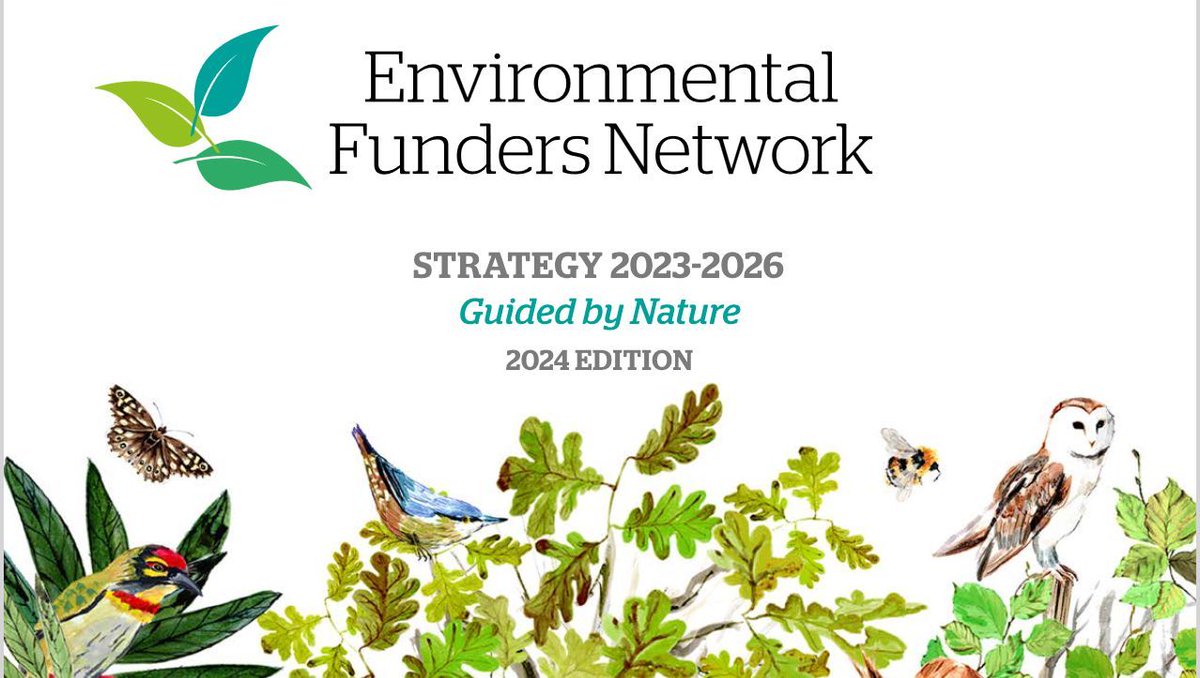 Our refreshed strategy for 2024 is live ✨ Reflecting on feedback & new contexts, we have refined our work for 2024 to help us increase philanthropic support for environmental causes, make it more effective & support the wider sector: buff.ly/3VTGkRT
