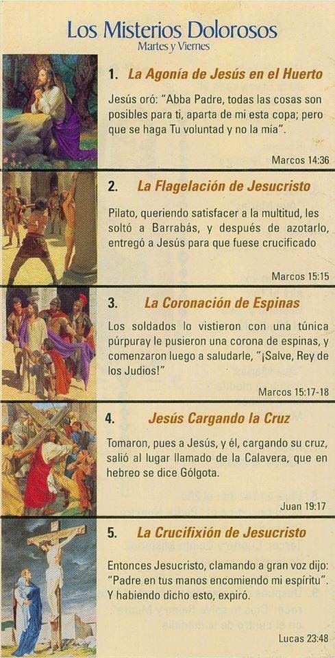 Santo Rosario de Hoy viernes 12 de Abril
Misterios Dolorosos

'María foederis arca
Ora pro nobis'

'Contemplemos el rostro de Cristo con María'
Juan Pablo II (Rosarium Vírginis Mariae; Cap.I; 16-Oct-2022)

#santorosario
#rosariodehombres
#RosariodeHombresPerú
#RosarioenFamilia