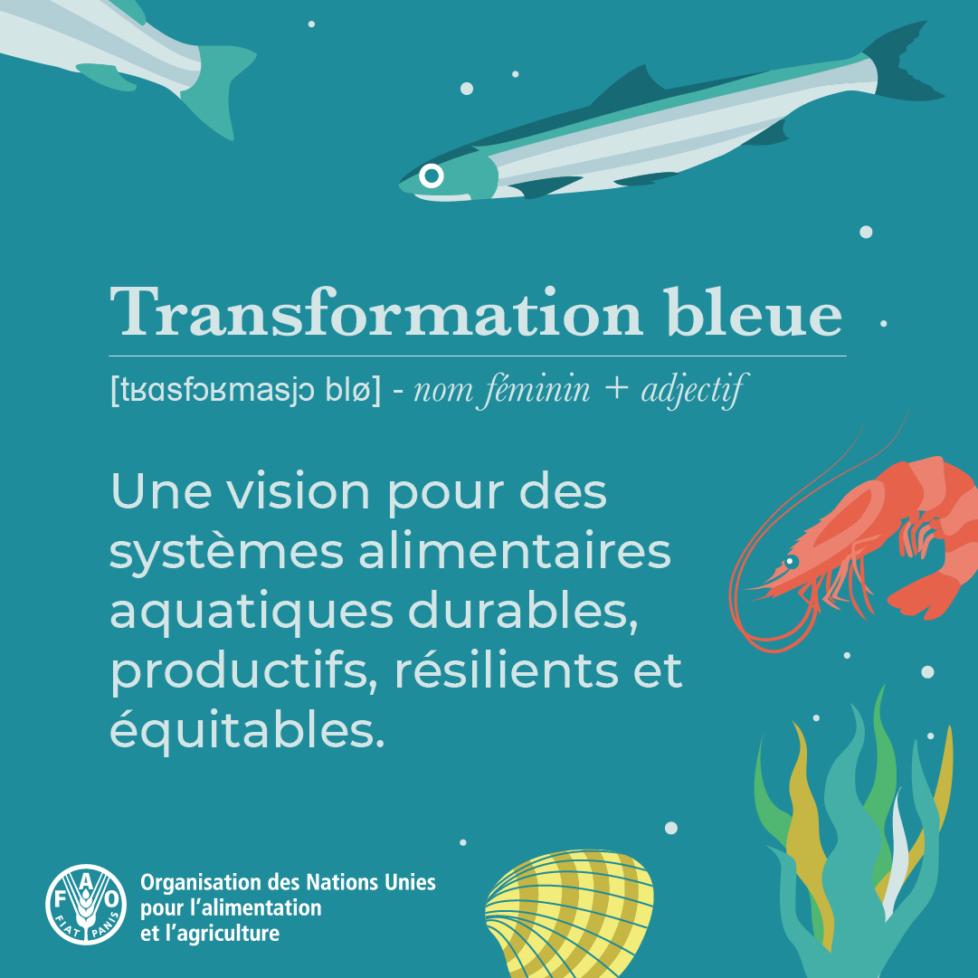 Nos océans, rivières et lacs ont la capacité de nourrir le 🌍 , mais à condition que leurs ressources soient gérées de manière responsable et durable. Une #TransformationBleue est la 🔑 pour assurer la prospérité des systèmes alimentaires aquatiques. #DécennieDeLOcéan
