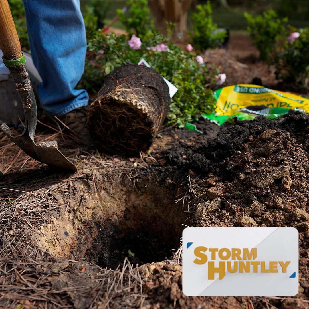 Are councils right to tear out flower beds to save money? Local authorities have cut funding for the upkeep of plants in public parks to direct money into public services. Are you happy for this to happen? @PeterBleksley | @jasminedotiwala | @StormHuntley | #StormHuntley