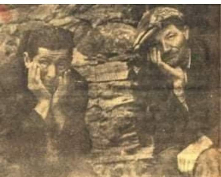 Fink nedir bilir misiniz? 1950’lerin başıydı. Anamur’un dağ köylerinde ormanlardan geçimini sağlayan köylülere yasaklar getirilmişti. Orman alanı ve köylülerin kullanım alanları arasında belirsiz bir sınır vardı. Yıllardır geçimini orman ekonomisine bağlayan köylüler, artık…