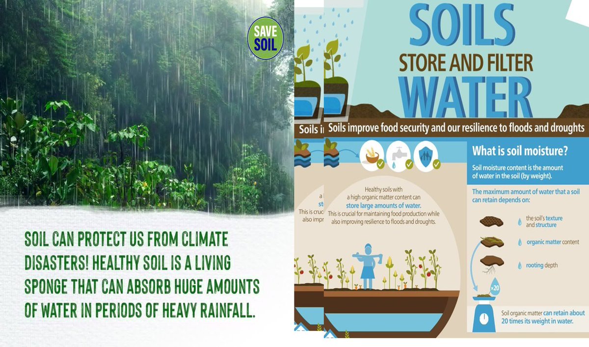 By 2030, the world could face a 40% shortfall in freshwater supply. wrld.bg/GfS550QGQg5, Increase the organic content in Soil by 3-6% a minimum which is being destroyed by human activities YoY. . #SaveSoil #SaveSoilFixClimateChange #SoilForClimateAction #consciousplanet