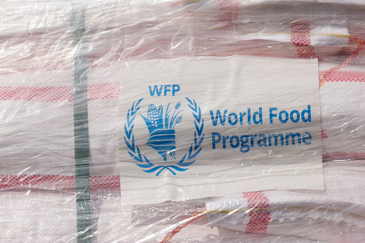 Nearly 55 million people in West and Central Africa will struggle to feed themselves in the June-August 2024 lean season, the World Food Programme (#WFP) revealed in a report Friday. The figure represents a four-million increase in the number of people who are food-insecure…