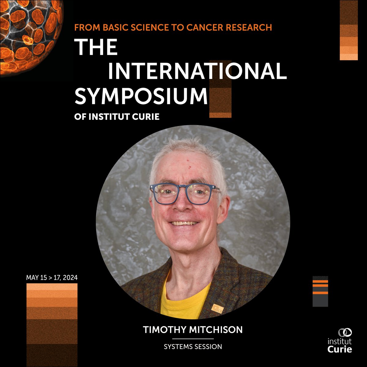 Have you ever wondered how do Microtubule Drugs act as Medicines? Grab your chance to get insights from the expert, Dr. Mitchison, co-dir. of the Initiative in Systems Pharmacology at @harvardmed, at the 1st International Symposium of @institut_curie. ⏩ curiesymposium.fr