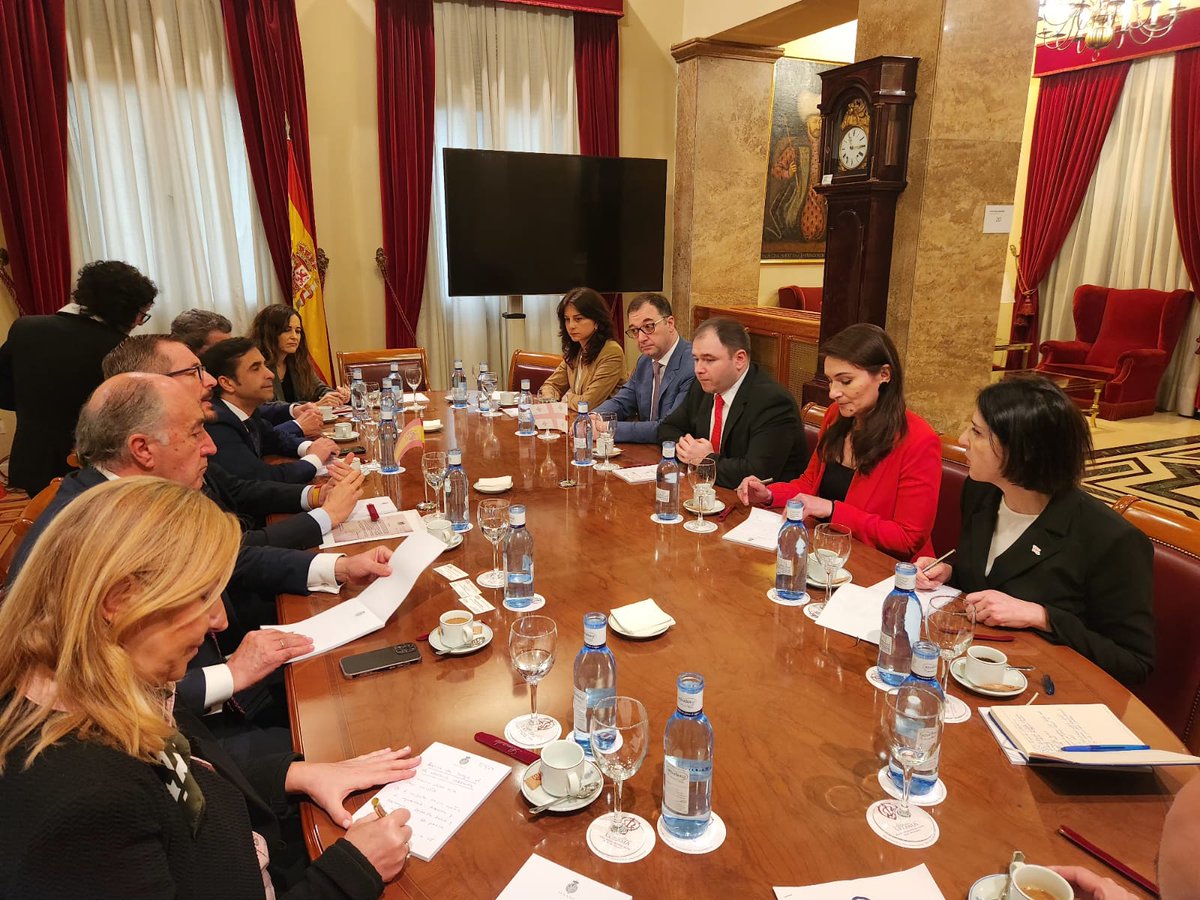 'Engaging discussion with 🇪🇦 Senate VP & Chairs of Foreign Relations/Defense Committees. Covered 🇬🇪European integration, regional challenges, RF occupation, strategic connectivity projects, peace process in Caucasus&upcoming 🇪🇺 elections. 🇪🇦 reaffirms support for 🇬🇪 EU membership