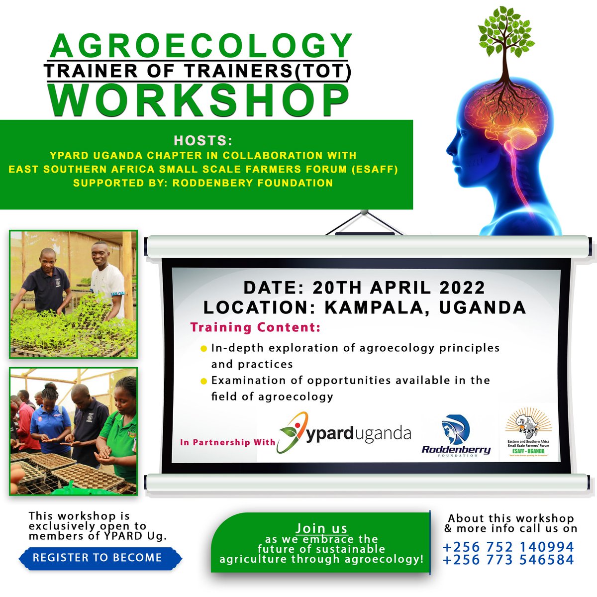 .@YPARDUganda in collaboration with East Southern Africa Small-scale Farmers Forum (@ESAFFUG) have organized a one day trainer of trainers workshop to equip youth with knowledge and information on Agroecology. The training is funded by @RoddenberryFdn 📆 20th April 2024.
