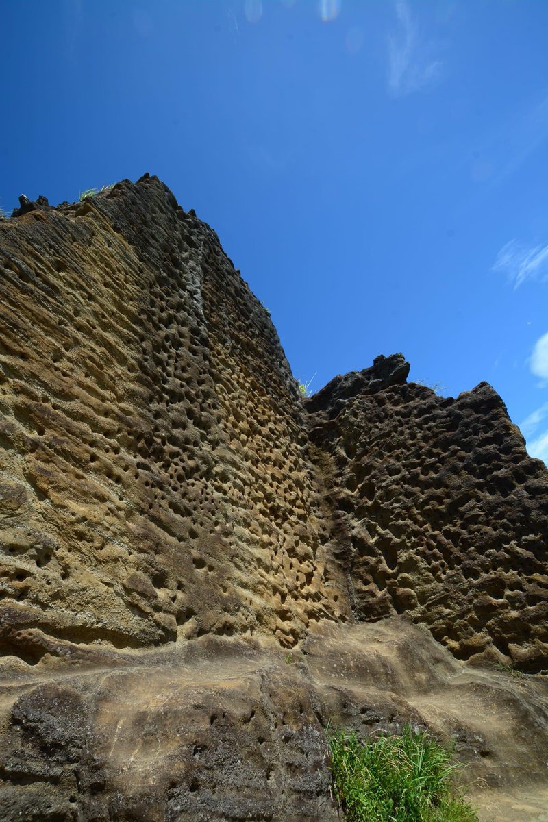 nakayamaraiden's tweet image. 2022/7月くらい　鷹取山　#D7100 #私とニコンで見た世界