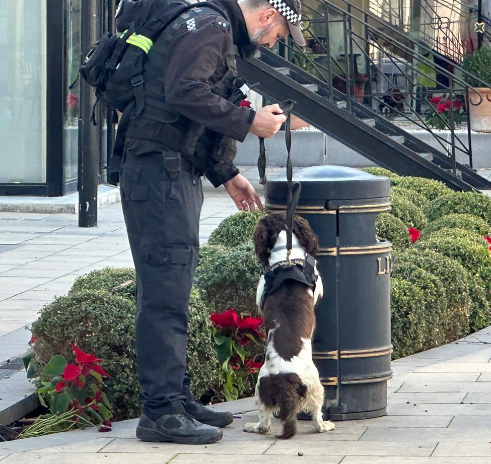 The name's Thor - PD Thor! GDP's four legged officers who is specially trained and most importantly, #bold and #courageous! GDP's #canine companions are an invaluable crime-fighting tool for the officers. Read more about Thor here 👉stratcommand.blog.gov.uk/2024/04/12/pd-… #policedogs