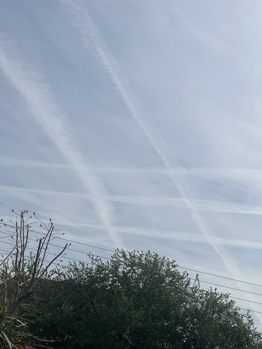 Lovely day turning cold - what are they doing to the sky - I could play noughts & crosses 🤷‍♂️🤷‍♂️🤬🤬