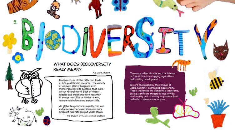 “We were blown away by their enthusiasm and creativity!' Discover how imaginative local schoolchildren are inspiring the next generation of bioscienctists with a new @sheffielduni ‘zine’ that’s been sent to every school in South Yorkshire 👉bit.ly/49wqRuh #MadeTogether