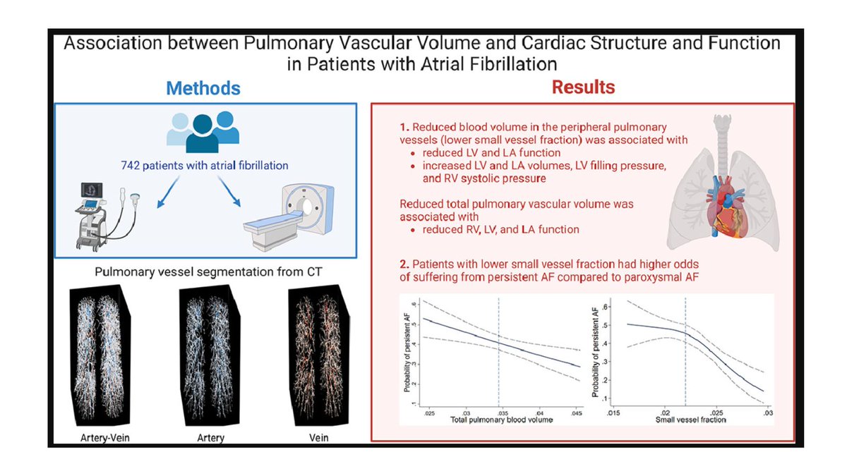 Ever wondered about the association between pulmonary vascular volume (PVV) and cardiac structure/function in atrial fibrillation #AF patients? 🤔 Findings suggest lower PVV is linked to impaired cardiac measures and persistent AF. 🫁💓 #Cardiology pubmed.ncbi.nlm.nih.gov/37604065/