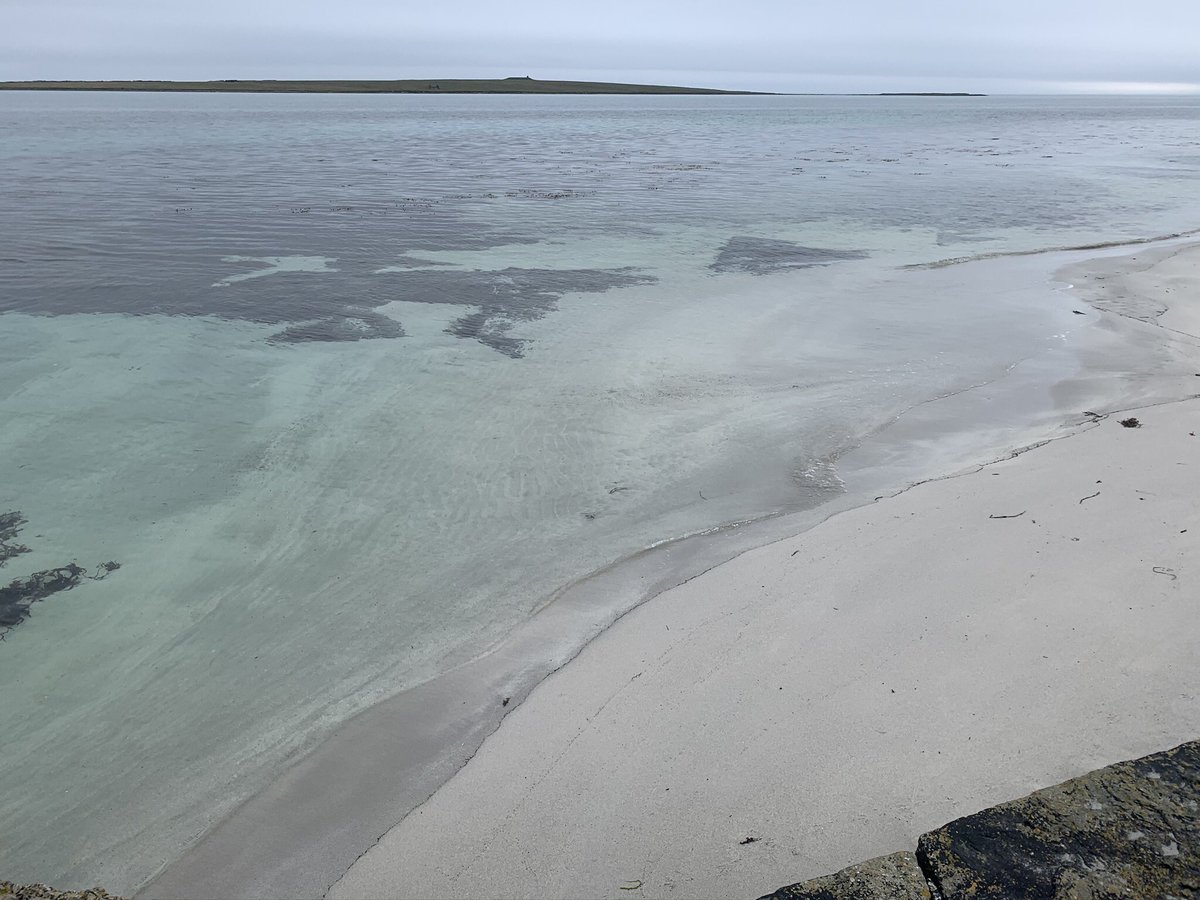 Lewis & I heading from Westray to Papa Westray, Orkney, 2020 The shortest scheduled passenger flight in the world, 1.7 miles & takes around 1 minute… 📸 Me