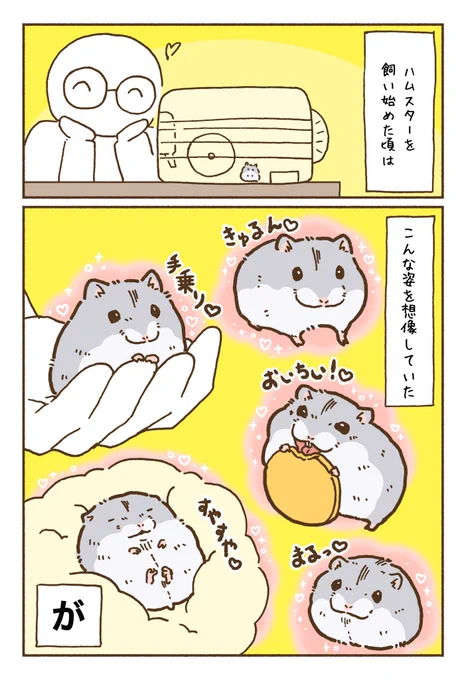 #世界ハムスターの日 
ハムスターの想像の姿と実際の姿(あと飼い主の思考)(1/2) 