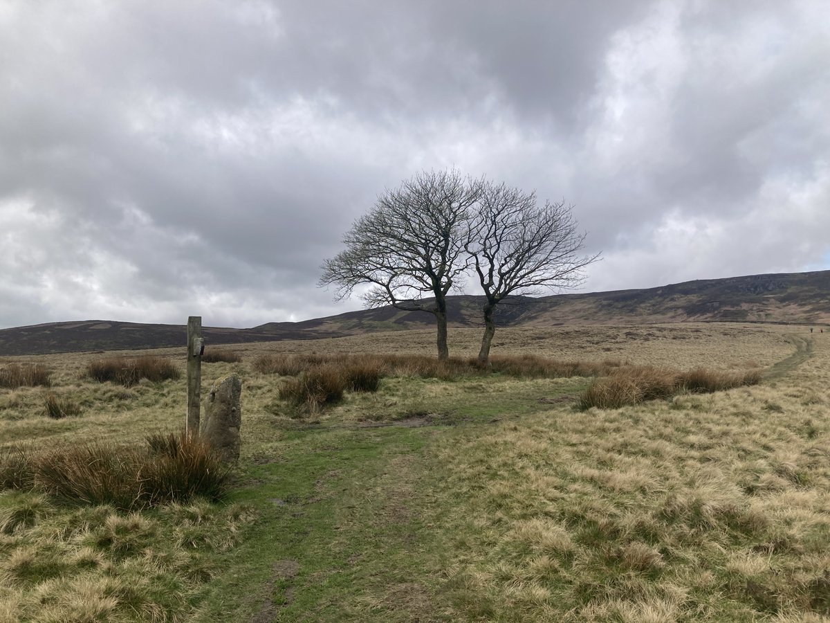 Happy #FingerpostFriday next to the iconic twin trees. Yesterday’s wonderful walking towards Crookstone Knoll and Kinder Edge 💚