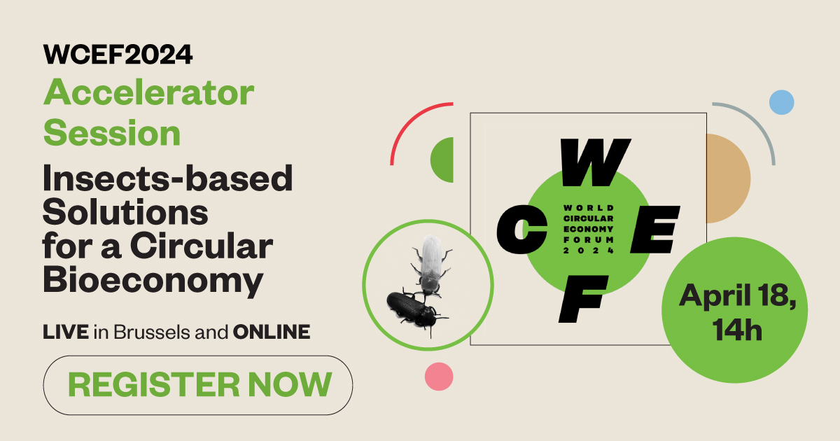 At the World Circular Economy Forum 2024 - Insects-based solutions for a circular bioeconomy, our colleague Larisa Ilijin @IbissBg will present her work about 'Tenebrio molitor larvae for Biodegradation of Plastic in Serbia'. @UNDPSerbia @MinistarstvoZZS