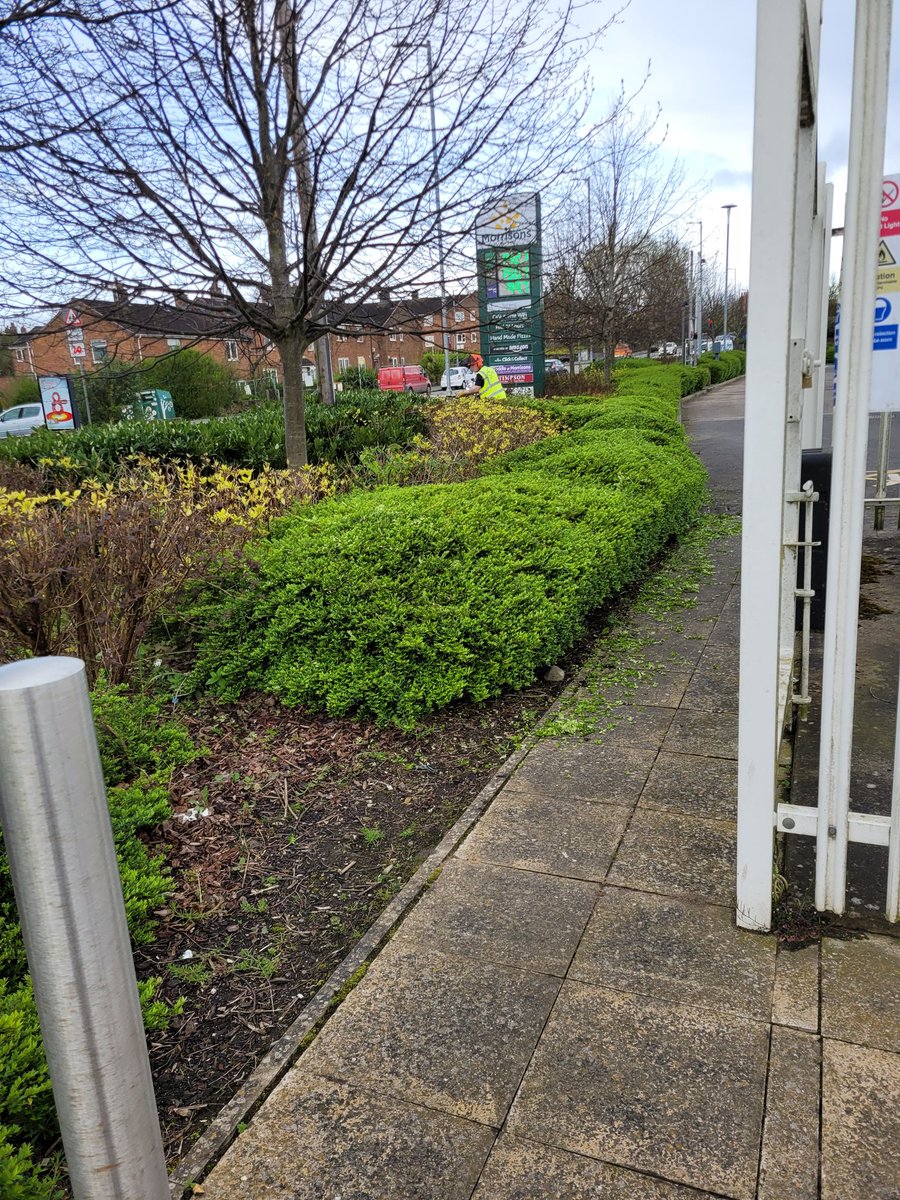 It's April and nesting season and @Morrisons are cutting their hedges. Why not put the effort into cleaning your site of all the rubbish surrounding it and give nature a chance? Two bags picked this morning around your supermarket