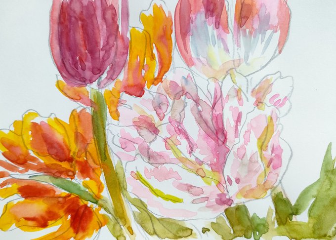 「orange flower tulip」 illustration images(Latest)