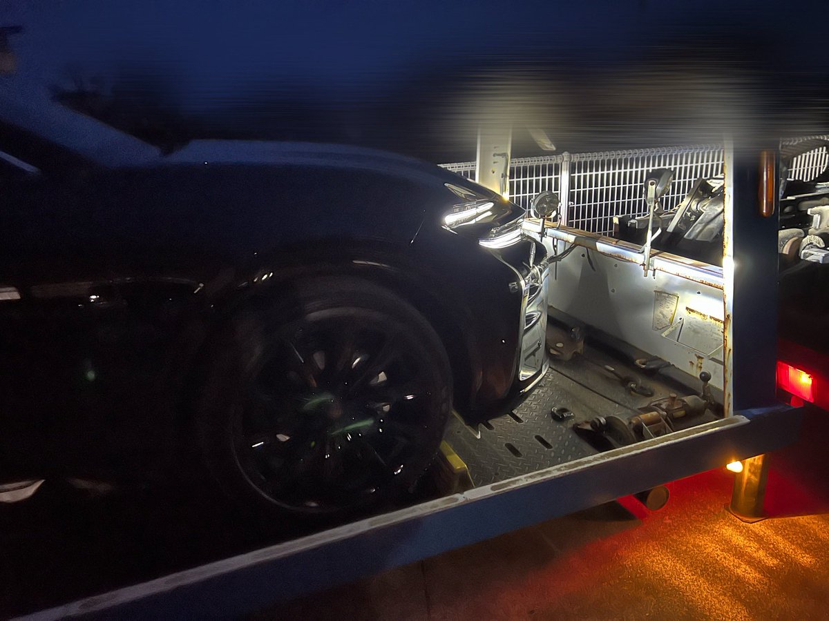 Mちゃん tweet media