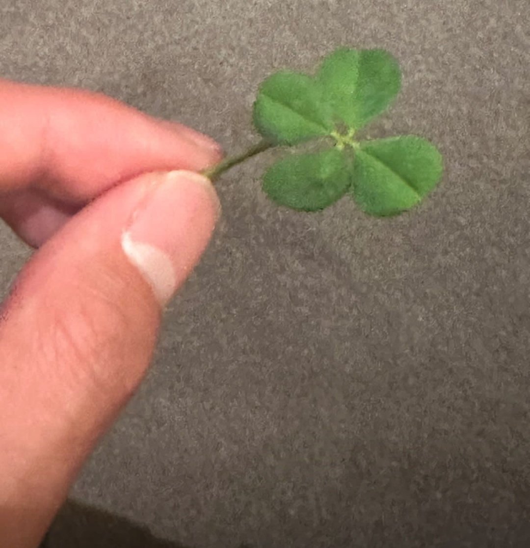 So taetae finally found his four-leaf clover 🍀 ♥️✨