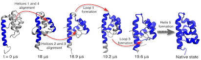 🔬📢 Seeking research papers on #Protein #Folding!

Join us in advancing science's understanding of this complex process.

Submit your work now!

Sub: scholarscentral.org/submissions/bi…

#CallForPapers #ProteinFolding 🧬🔍