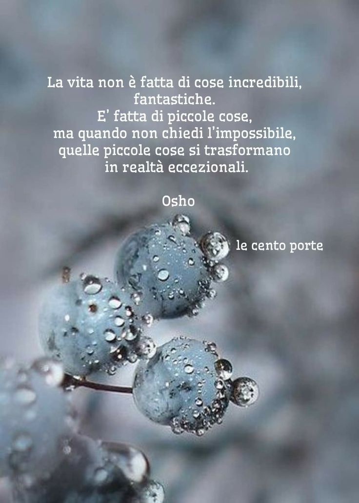 #VisioniDiPace 
  #VentagliDiParole~