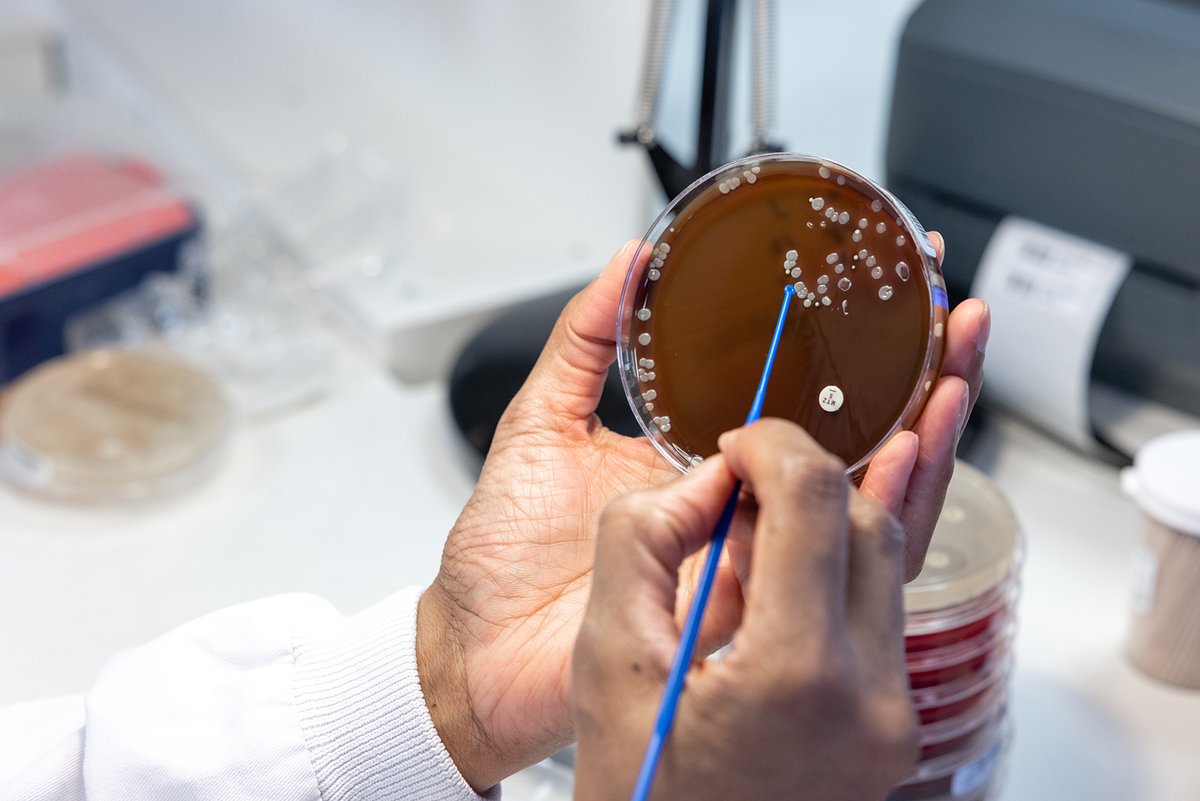 Announcement: we have extended the deadline to apply for the Chair of the Medical Microbiology NQAAP until the 26th April. You can see all the information here: ow.ly/comk50RbhoV Please get in touch with any questions. #EQA #Pathology