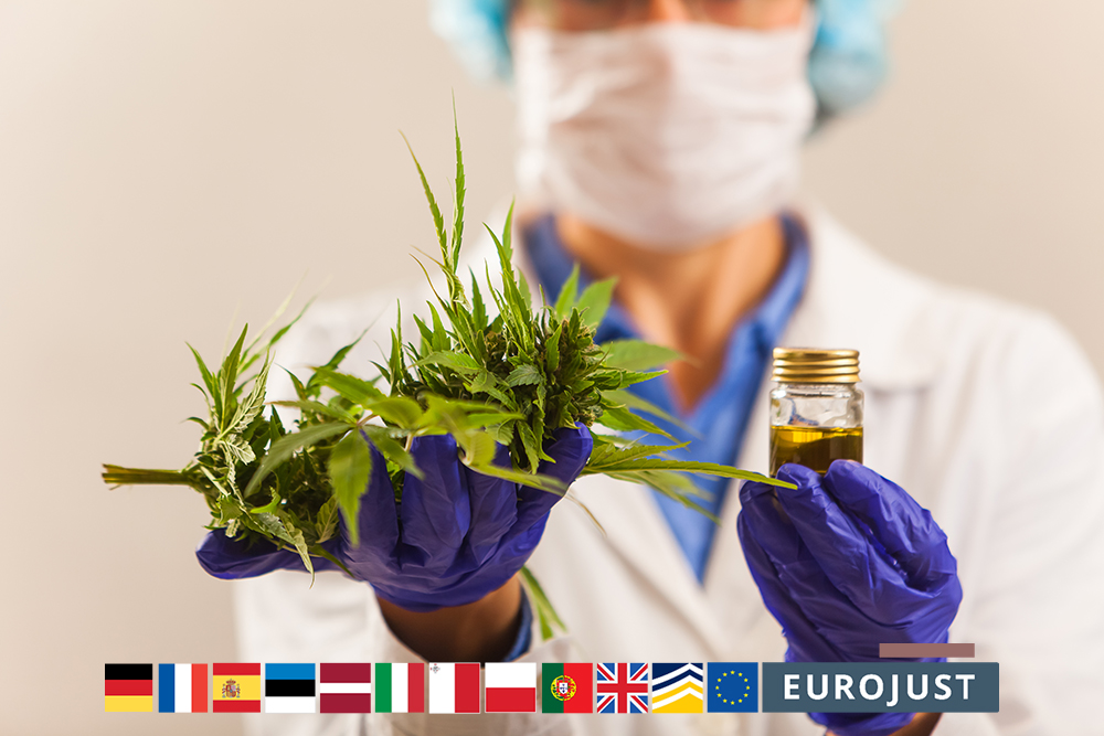 😷 Massive fraud involving fake investments in medicinal cannabis plants dismantled with #Eurojust & @Europol support.

💶An estimated 550 000 participants were registered as investors in the scheme, with laundered profits of close to EUR 645 million.

👉 eurojust.europa.eu/news/eurojust-…